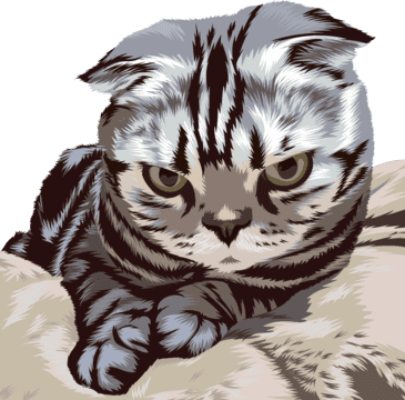 angry pet cat cartoon