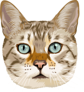 blue eyed pet cat cartoon
