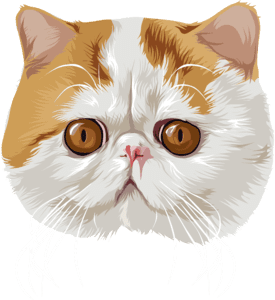 original cat cartoon sample 2