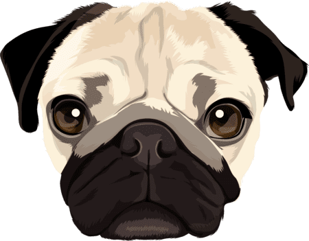 cartoon dog face of a pug