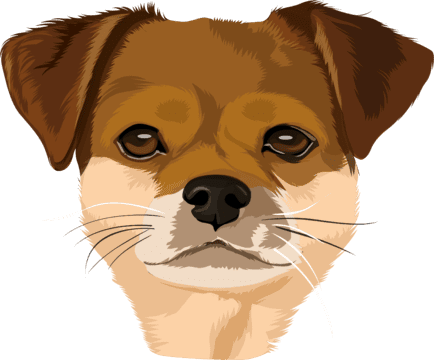 cartoon of cute pet dog