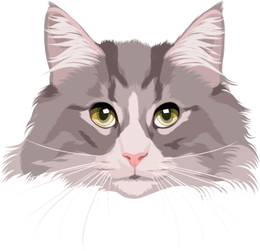 cartoonize your cat face