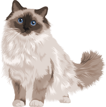 cat caricature of cute cat