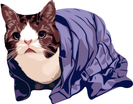 cat with blanket drawing