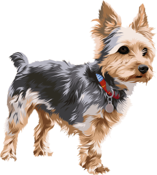 cute terrier cartoon dog