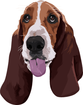 dog portrait of a beagle