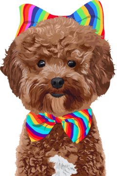 dog with rainbow ribbon