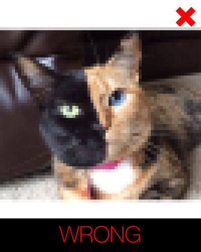 instructions for cartoon cat - blurred