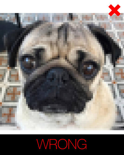 cartoon dog photo instructions - blurry