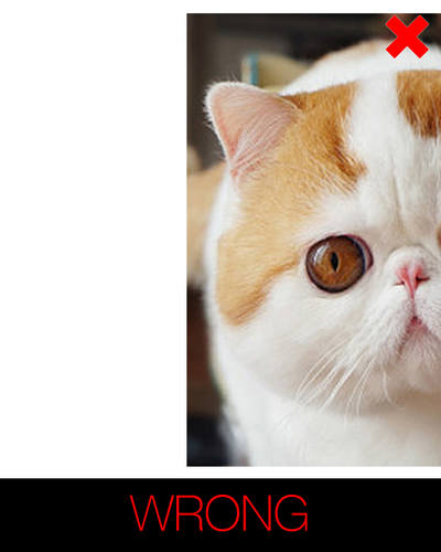 instructions for cartoon cat - incomplete