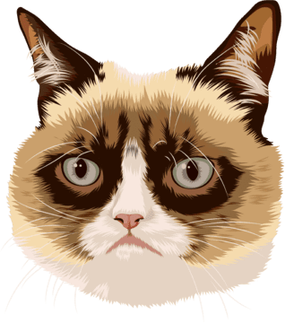 grumpy cat cartoon