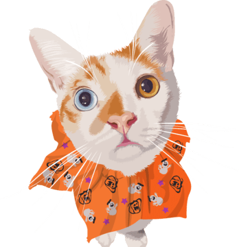 heterochromia cat cartoon