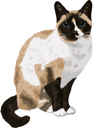 premium cartoon cat sample 3