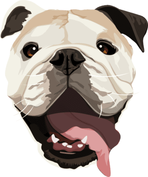pet avatar of bulldog