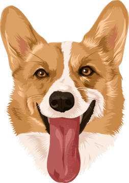 pet cartoon of corgi