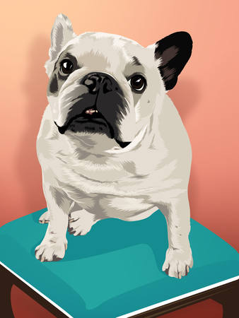 thecartoonist pet cartoon testimonial