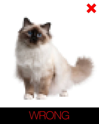 instructions for cartoon cat - blurred