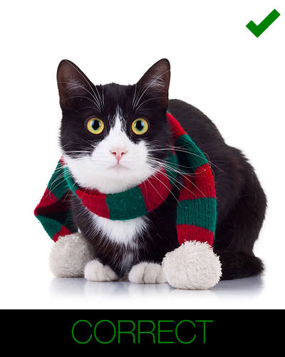 instructions for cartoon cat - complete