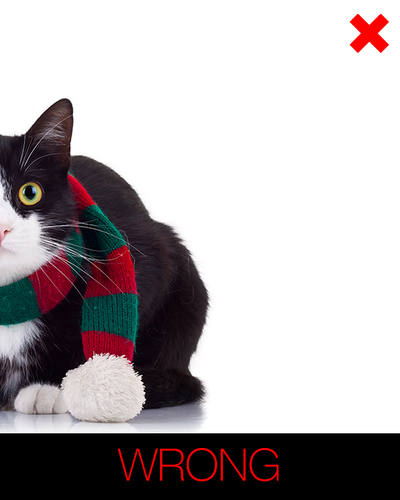 instructions for cartoon cat - incomplete