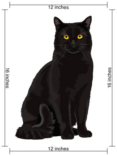 premium cat cartoon dimensions