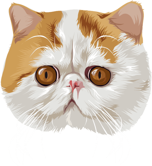 cartoon snoopy the cat