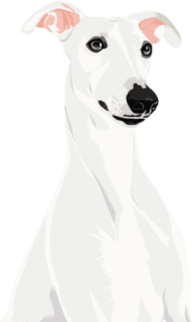 white dog cartoon pet